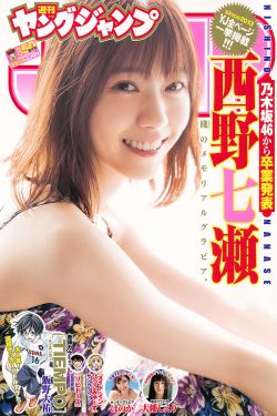乱系列140肉艳1一12